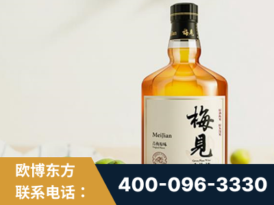 龙港-梅见青梅酒